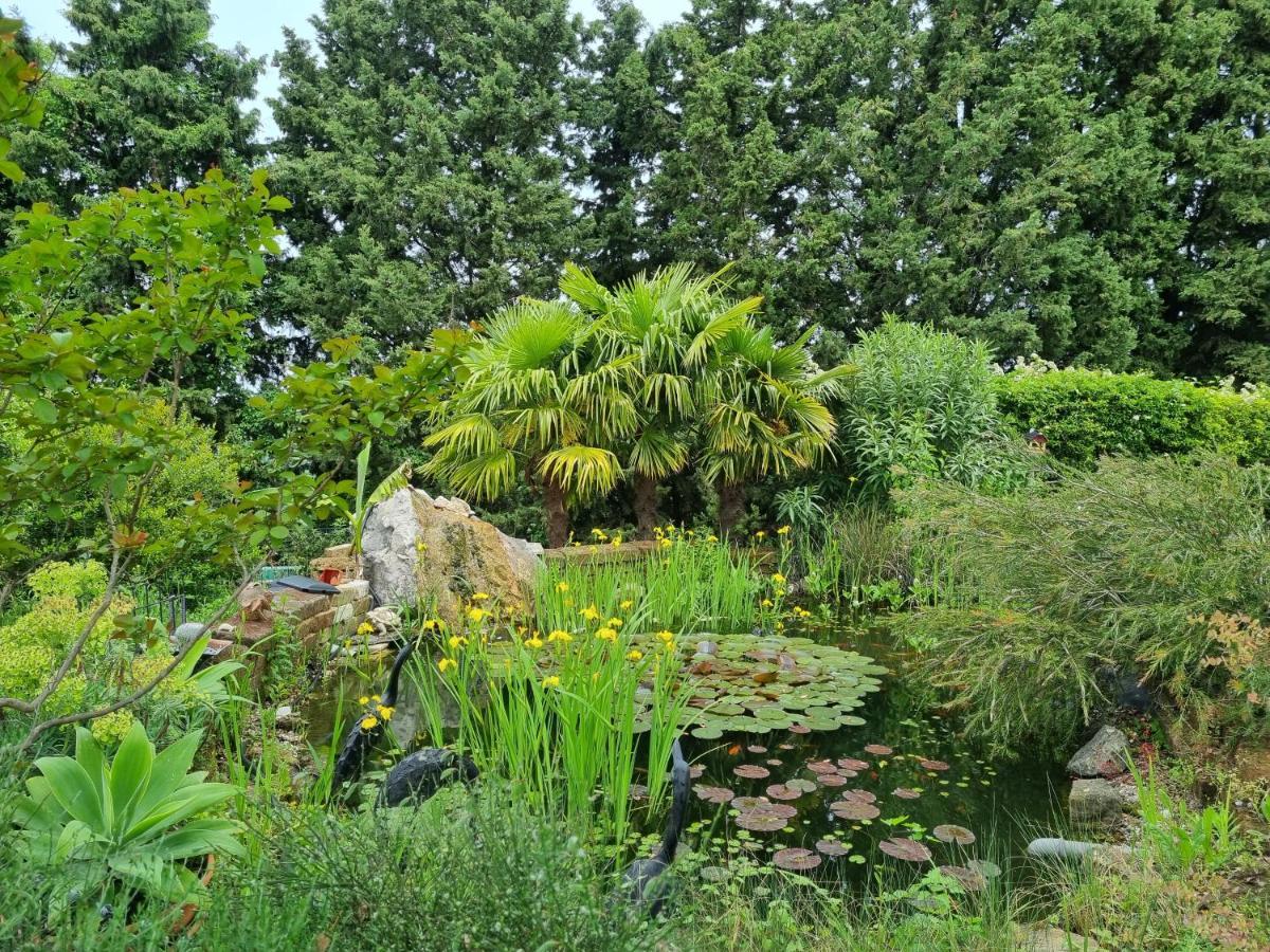 Garden Apartment Sečovlje Eksteriør bilde